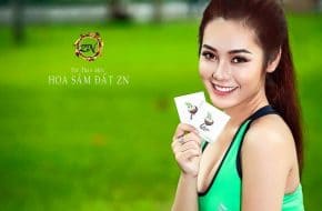 Sản phẩm trà hoa sâm đất được nhiều chị em tin dùng