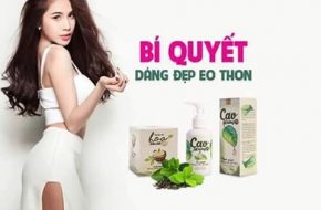 trà hoa sâm đất bí quyết dáng đẹp eo thon.