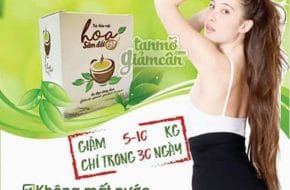 Trà Hoa Sâm Đất giảm đến 3 đến 16 kg chỉ trong 30 ngày