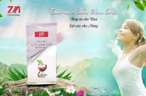 thảo mộc hoa sâm đất thay áo cho hoa lột xác cho nàng