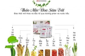 thảo mộc hoa sâm đất