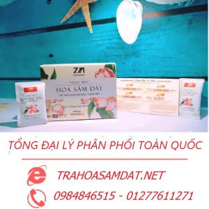 tổng đại lý phân phối hoa sâm đất dạng viên